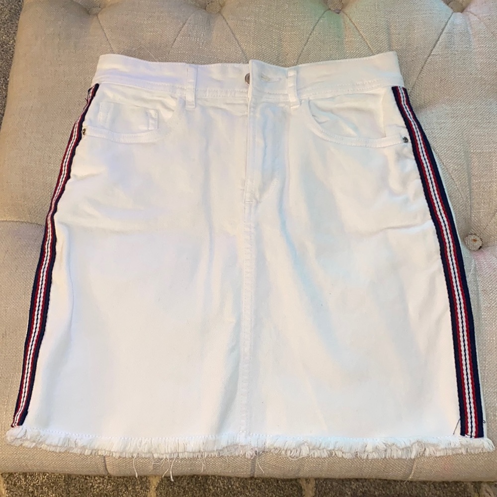 Zara Skirt- never worn